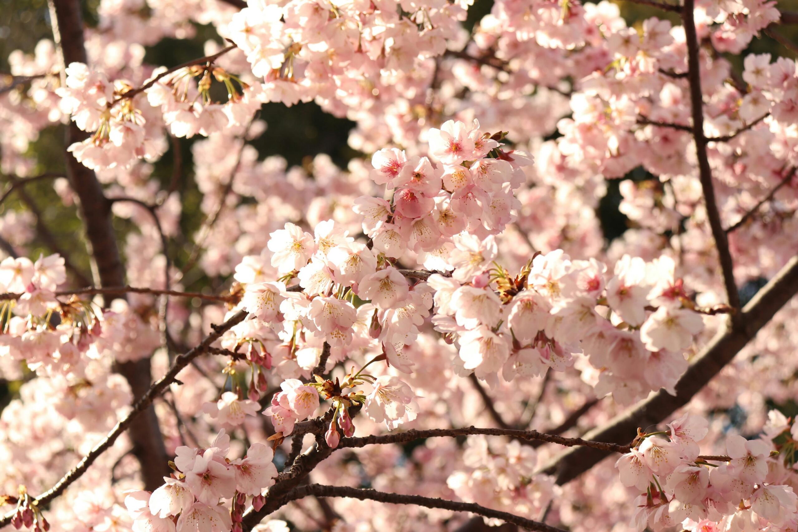 Banner 3